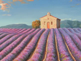 ADRIANO GALASSO - Campi di Lavanda