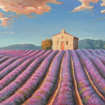 ADRIANO GALASSO - Campi di Lavanda