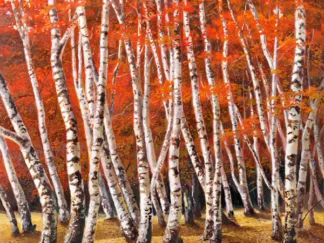 ADRIANO GALASSO - Bosco di Betulle I