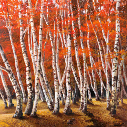 ADRIANO GALASSO - Bosco di Betulle I