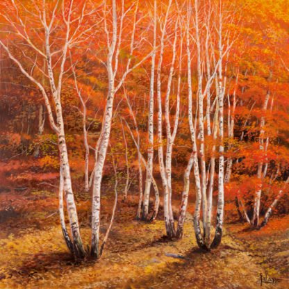 ADRIANO GALASSO - Bosco di Betulle II