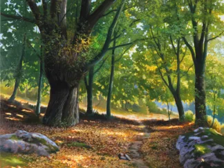 ADRIANO GALASSO - Luce nel Bosco