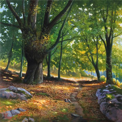 ADRIANO GALASSO - Luce nel Bosco