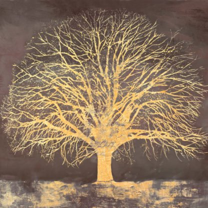 ALESSIO APRILE - Golden Oak