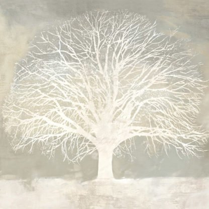 ALESSIO APRILE - White Oak