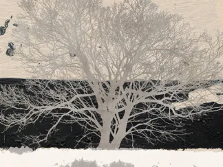 ALESSIO APRILE - Silver Tree (detail)