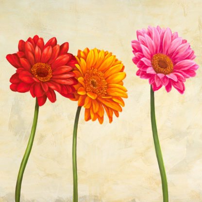 CYNTHIA ANN - Gerberas (detail)