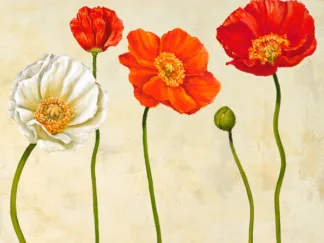 CYNTHIA ANN - Coquelicots (detail)