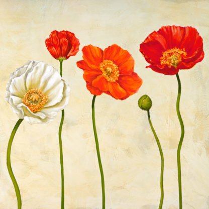 CYNTHIA ANN - Coquelicots (detail)