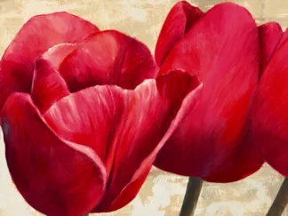 CYNTHIA ANN - Red Tulips (detail)