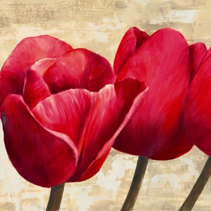 CYNTHIA ANN - Red Tulips (detail)