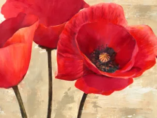 CYNTHIA ANN - Red Poppies (detail)
