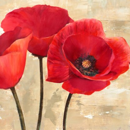 CYNTHIA ANN - Red Poppies (detail)