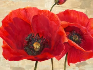 CYNTHIA ANN - Red Poppies (detail II)