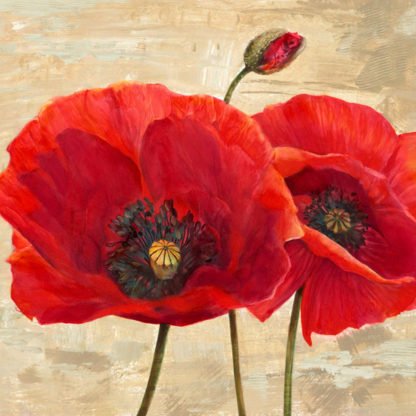 CYNTHIA ANN - Red Poppies (detail II)