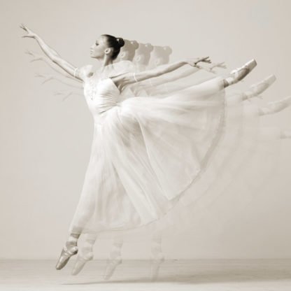 HAUTE PHOTO COLLECTION - Leaping Beauty (detail)