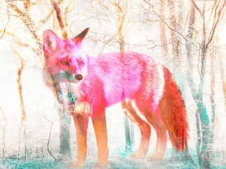 ARLO WREN PHOTOS - The Wilderness (detail)