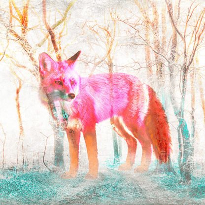 ARLO WREN PHOTOS - The Wilderness (detail)