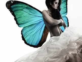 JULIAN LAUREN - Winged Beauty 1