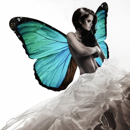 JULIAN LAUREN - Winged Beauty 1