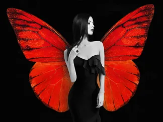 JULIAN LAUREN - Winged Beauty 2