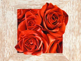 PIERRE BENSON - French Roses I