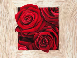 PIERRE BENSON - French Roses II