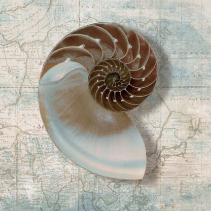 TED BROOME - Nautilus