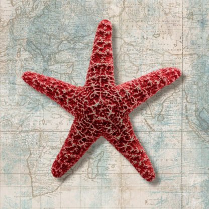 TED BROOME - Starfish