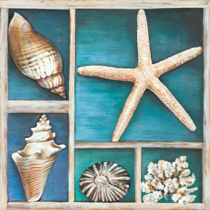 TED BROOME - Collection of Memories II