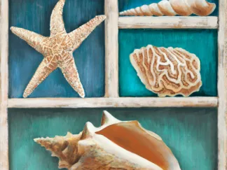TED BROOME - Collection of Memories VI