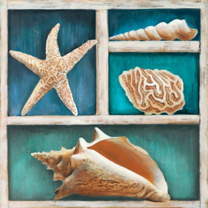 TED BROOME - Collection of Memories VI