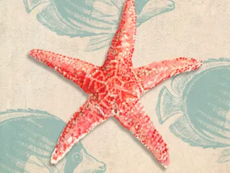 TED BROOME - Ocean Gift I