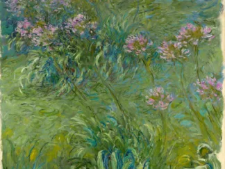 CLAUDE MONET - Agapanthe