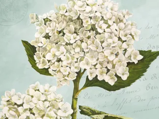 REMY DELLAL - Hydrangeas II (Aqua)