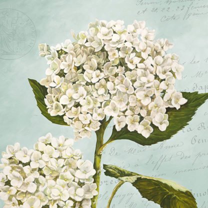 REMY DELLAL - Hydrangeas II (Aqua)