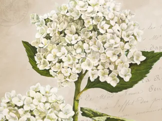 REMY DELLAL - Hydrangeas II (Neutre)