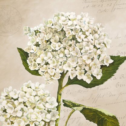 REMY DELLAL - Hydrangeas II (Neutre)