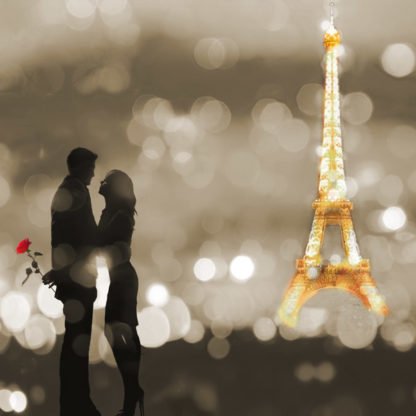 DIANNE LOUMER - A Date in Paris (BW, detail)
