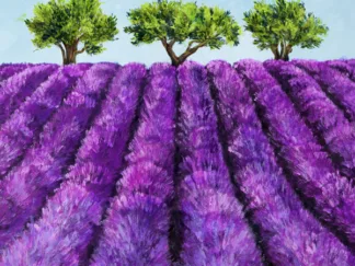 MASSIMO GERMANI - Filari di Lavanda