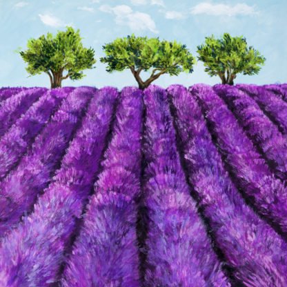 MASSIMO GERMANI - Filari di Lavanda