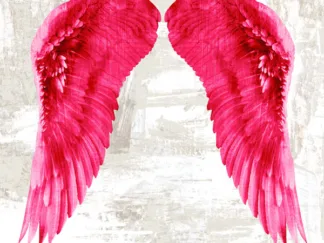 JOANNOO - Angel Wings III