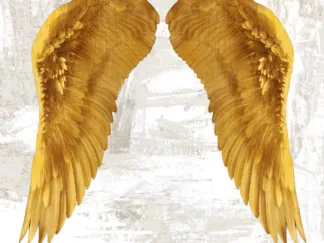 JOANNOO - Angel Wings IV