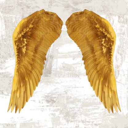 JOANNOO - Angel Wings IV