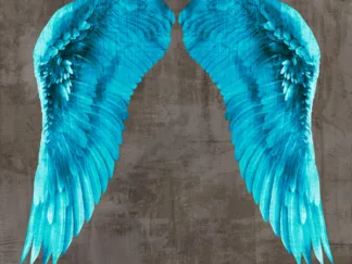 JOANNOO - Angel Wings V
