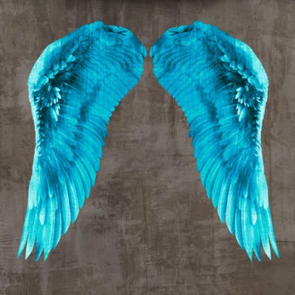 JOANNOO - Angel Wings V