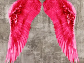 JOANNOO - Angel Wings VI