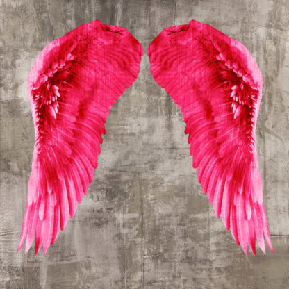 JOANNOO - Angel Wings VI