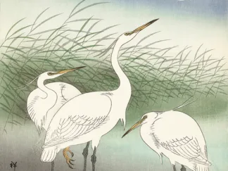 OHARA KOSON - Herons in Shallow Water