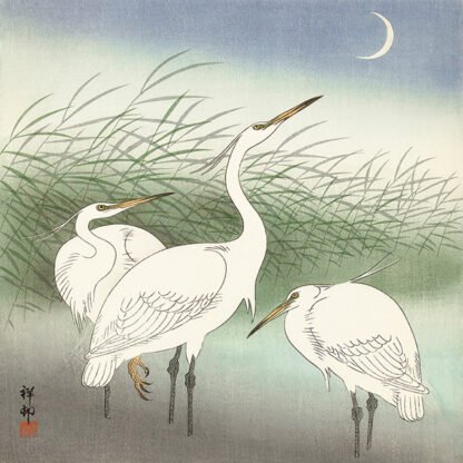 OHARA KOSON - Herons in Shallow Water